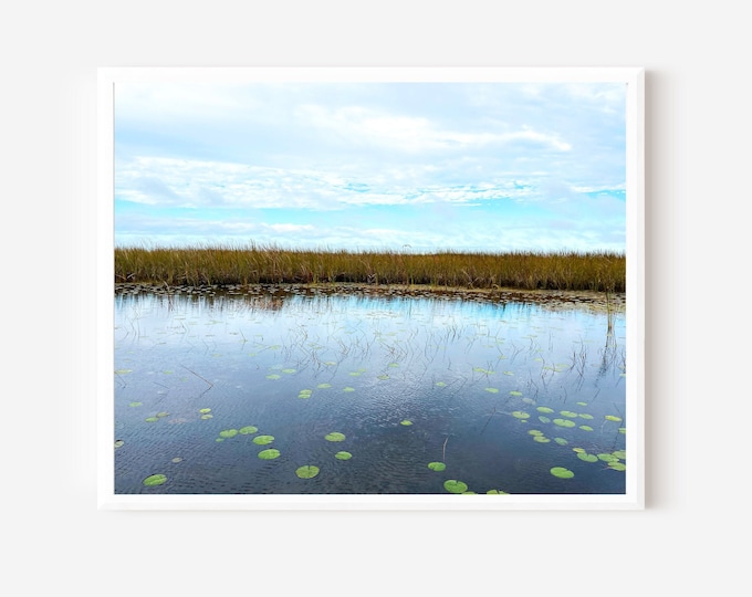 Everglades National Park Print, Everglades Art, Florida Photography, Wetlands Photo, Marsh Photograph, Sawgrass Prairie Photo, Coastal Art