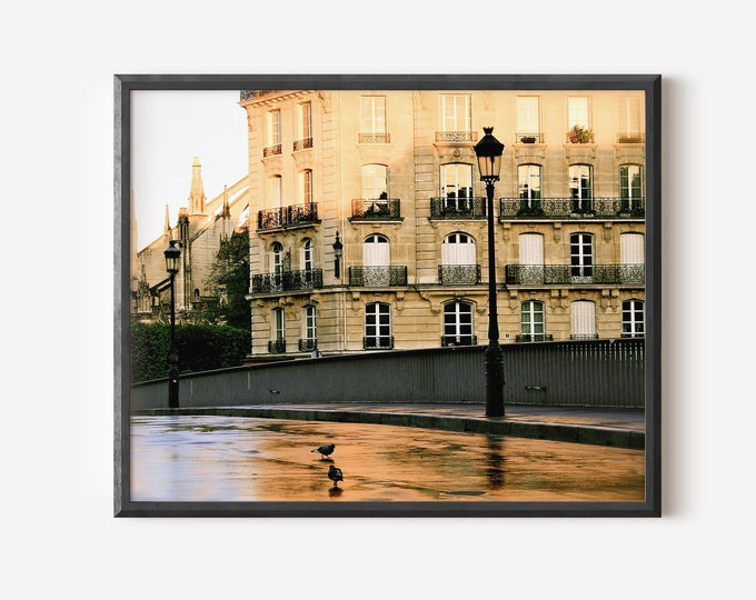 Paris Photography, Ile de la Cite Print, Paris Street Picture, French Wall Art, Parisian Decor, Architecture Photograph, Paris Morning Photo