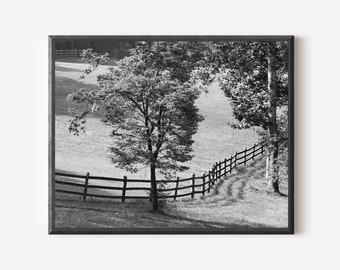 Black and White Farm Print, Asheville NC Photo, Tree Picture, Field and Fence Print, North Carolina, Country Wall Art, Pasture Picture