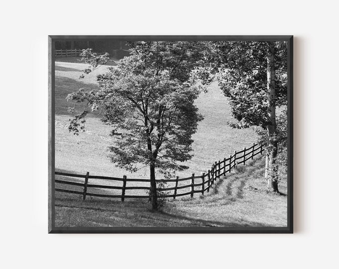 Black and White Farm Print, Asheville NC Photo, Tree Picture, Field and Fence Print, North Carolina, Country Wall Art, Pasture Picture