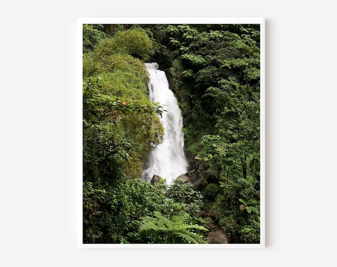Waterfall Print, Trafalgar Falls Photograph, Dominica Photo, Rainforest Photography, Emerald Green Art, Caribbean Print, Nature Island Art
