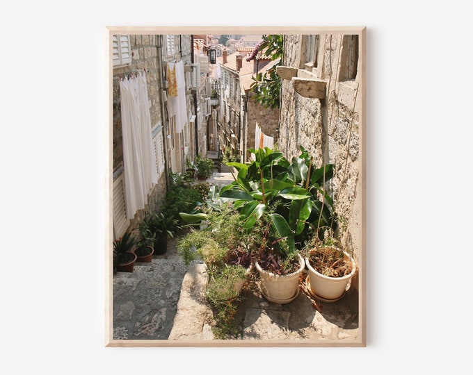Croatia Photography, Dubrovnik Croatia Print, Laundry Room Wall Art, European Streets Print, Urban Garden Photograph, Printed and Shipped