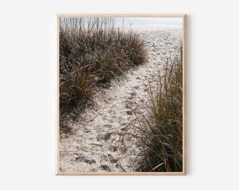 Bald Head Island North Carolina Photography Print - Neutral Beach Photo - Sea Grass Picture - Coastal Wall Art - Sand Path Photograph