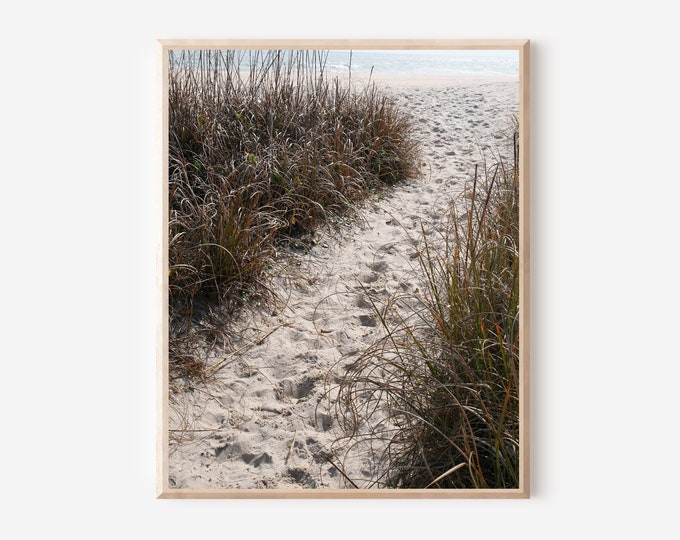 Bald Head Island North Carolina Photography Print - Neutral Beach Photo - Sea Grass Picture - Coastal Wall Art - Sand Path Photograph