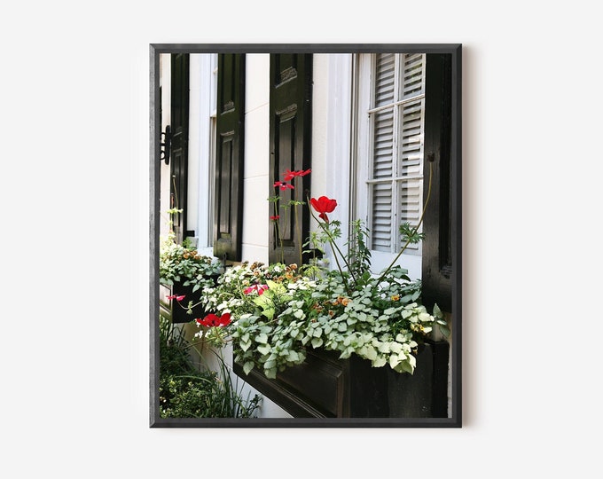 Charleston SC Photography, Window Box Flowers Print, Red Poppies Picture, Flower Photo, Southern Wall Art, Home Decor, Black White Red Green