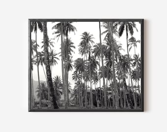 Black and White Hawaii Print, Big Island Photography, Palm Tree Print, Hawaiian Landscape, Tropical Wall Art,  Contemporary Living Room Art
