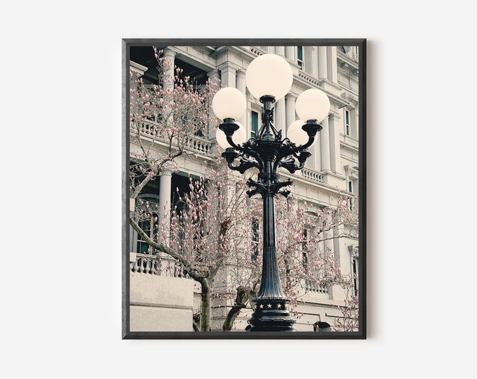 Washington DC Photography, Street Light Print, Lamppost Picture, Cherry Blossoms DC, Architecture Photo, Globe Lights, Large Vertical Print