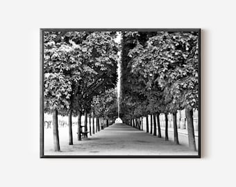 Black and White Paris Photography, Palais Royal Print, French Garden Picture, Tree Photograph, Paris Wall Art, Parisian Print, Paris Photo