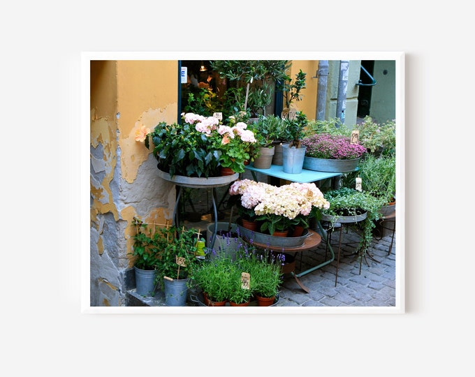 Flower Market Print, Garden Decor, Hydrangea Art, Danish Market Photograph, Copenhagen Denmark, Floral Wall Art, Plant Nursery Picture