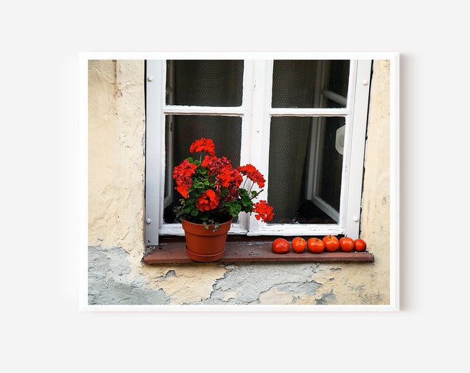 Geranium Print, Tomato Photo, Red Flower Wall Art, Hungary Photography, Farmhouse Decor, Cottage Wall Art, Sopron Hungary Print, Kitchen Art