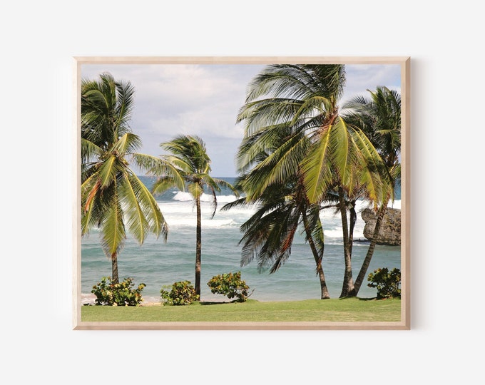 Caribbean Wall Art, Barbados Photography, Palm Tree Print, Island Photography, Beach Photograph, Tropical Home Decor, Blue and Green Art