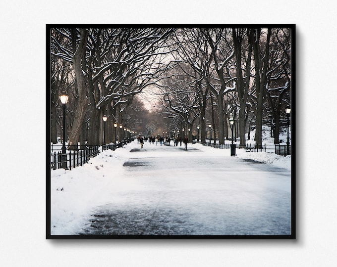 New York City Print, Winter Photography, Central Park Photo, Literary Walk Promenade, Poets Walk Art, Snowy Landscape, Winter in NYC Picture