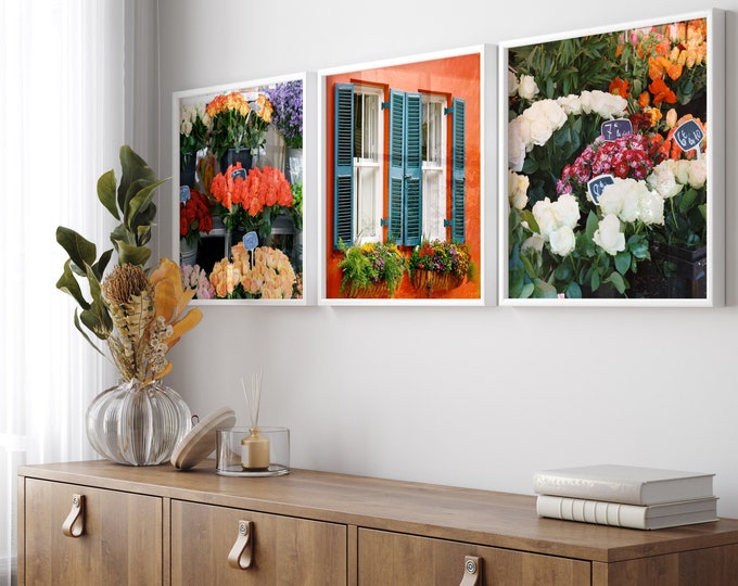Square Coral Wall Art Set - 3 European Flower Market and Charleston SC Window Box Photography Prints - Colorful Vibrant Paris Floral Photos