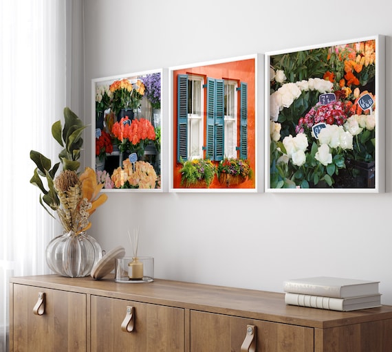 Square Coral Wall Art Set - 3 European Flower Market and Charleston SC Window Box Photography Prints - Colorful Vibrant Paris Floral Photos