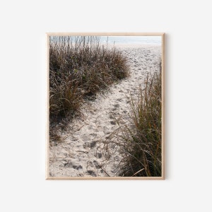 Bald Head Island Photography Print, Neutral Beach Photo, Sea Grass Picture, Coastal Wall Art, Sand Path Photograph, NC Seascape