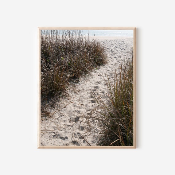 Bald Head Island North Carolina Photography Print, Neutral Beach Photo, Sea Grass Picture, Coastal Wall Art, Sand Path Photograph