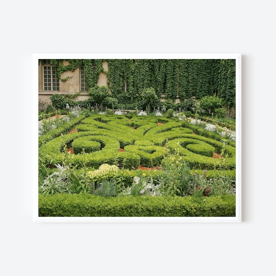 Carnavalet Gardens - Parisian Garden Courtyard Photography Print, Parisian Home Decor