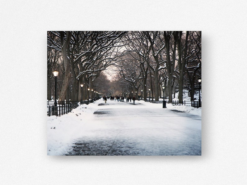 New York City Print, Winter Photography, Central Park Photo, Literary Walk Promenade, Poets Walk Art, Snowy Landscape, Winter in NYC Picture image 3