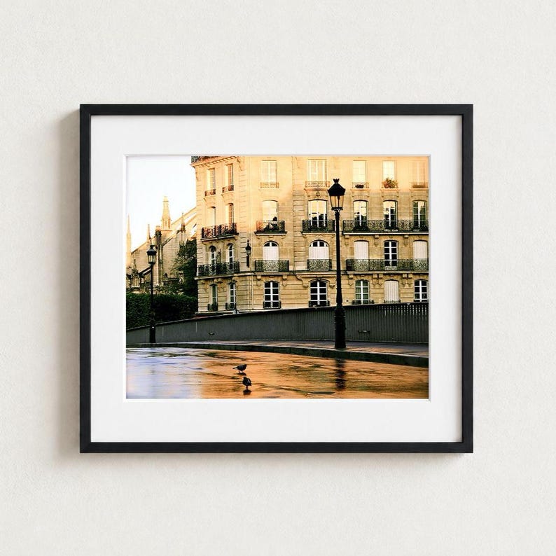 May include: A framed wall art print featuring a multi-story beige stone building with black wrought iron balconies and arched windows. Two black street lamps stand along a wet, reflective ground surface where two small birds are visible.