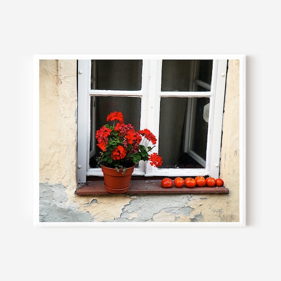 Geranium and Tomato Print from European Cottage in Sopron Hungary