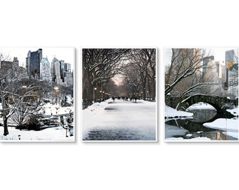 Winter in New York City Photography Print Collection - NYC Central Park Wall Art - Holiday Decor - Black White Gray Prints - Snow Photos