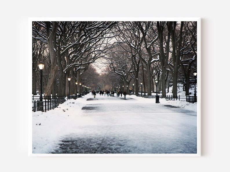 New York City Print, Winter Photography, Central Park Photo, Literary Walk Promenade, Poets Walk Art, Snowy Landscape, Winter in NYC Picture image 6