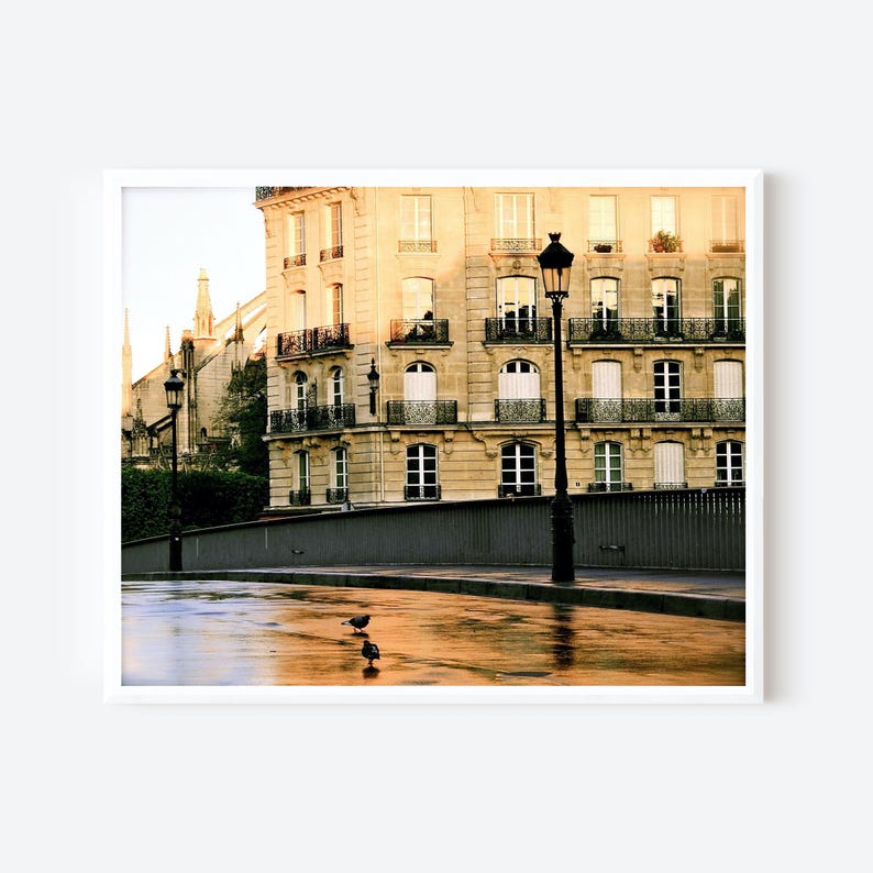 May include: A multi-story beige stone building with numerous windows and black wrought iron balconies stands behind a dark metal fence. Two black street lamps line the path, and two small birds stand on the wet, reflective ground in the foreground.