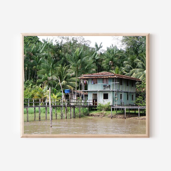 Amazon River Photography, Brazil Wall Art Print, Rainforest Photograph, Jungle Photo, Tropical Decor, Palm Tree Picture, South America Art