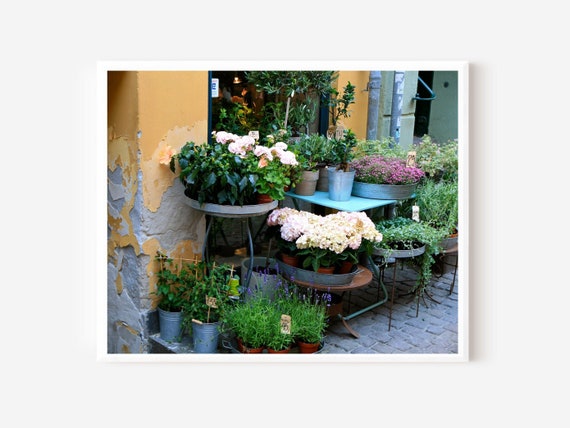 Flower Print Garden Decor Hydrangea Art Danish - Etsy