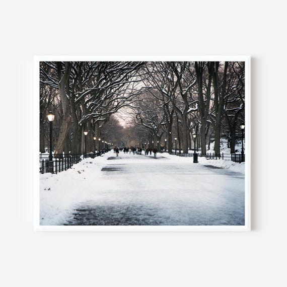 Literary Walk - New York City Photography Print