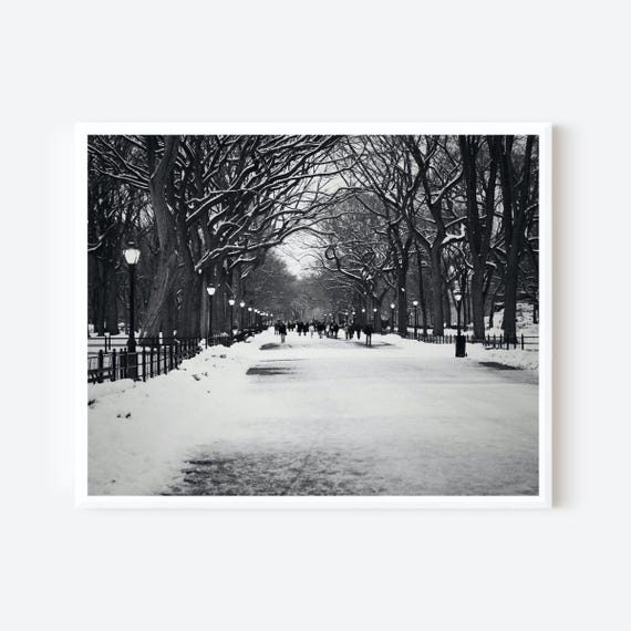 Walking in Winter Wonderland - New York City Photography Print