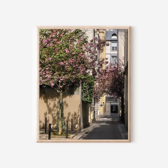 Rue de Fleurs - Parisian Alley in the Spring Photography Print from Paris France