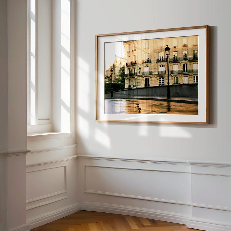 May include: A framed landscape photograph depicting a Parisian-style building with cream-colored stone walls, wrought iron balconies, and tall windows. A black street lamp stands on a wet, reflective pavement where two small birds are visible.