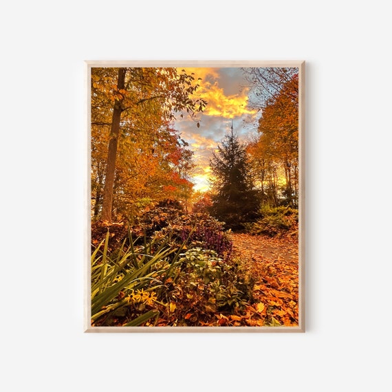 Fall Foliage Photography Print from Banner Elk North Carolina