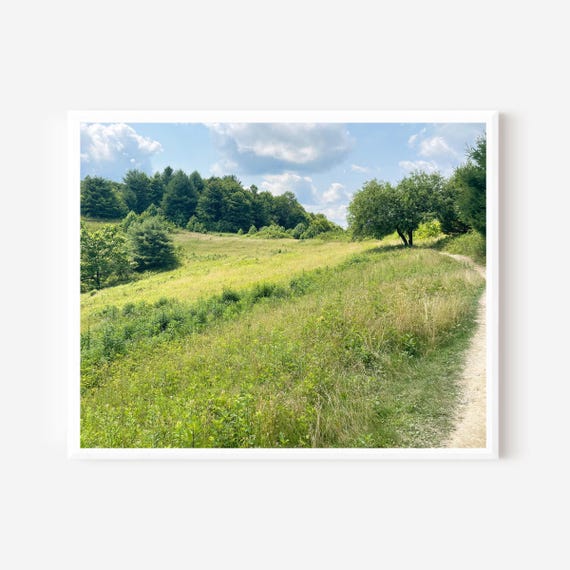 Blowing Rock NC Photography, Field and Forest Print, Boone Fork Trail, North Carolina Photograph, Hiking Trail Picture, Mountain Landscape