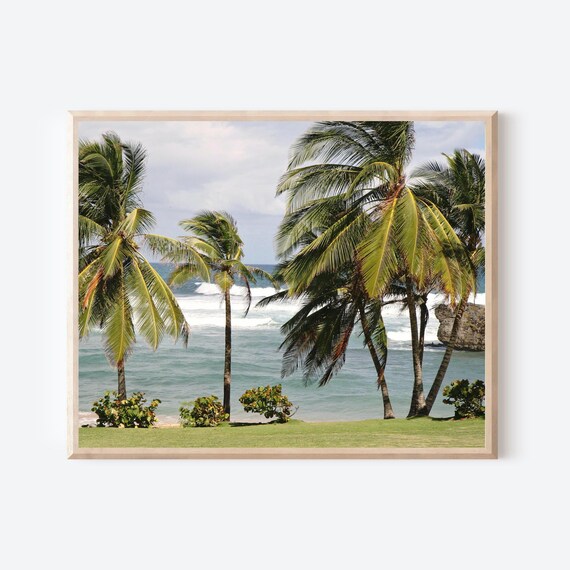 Barbados Palm Tree Print, Tropical Beach Photography Wall Art, Caribbean Ocean View, Coastal Decor