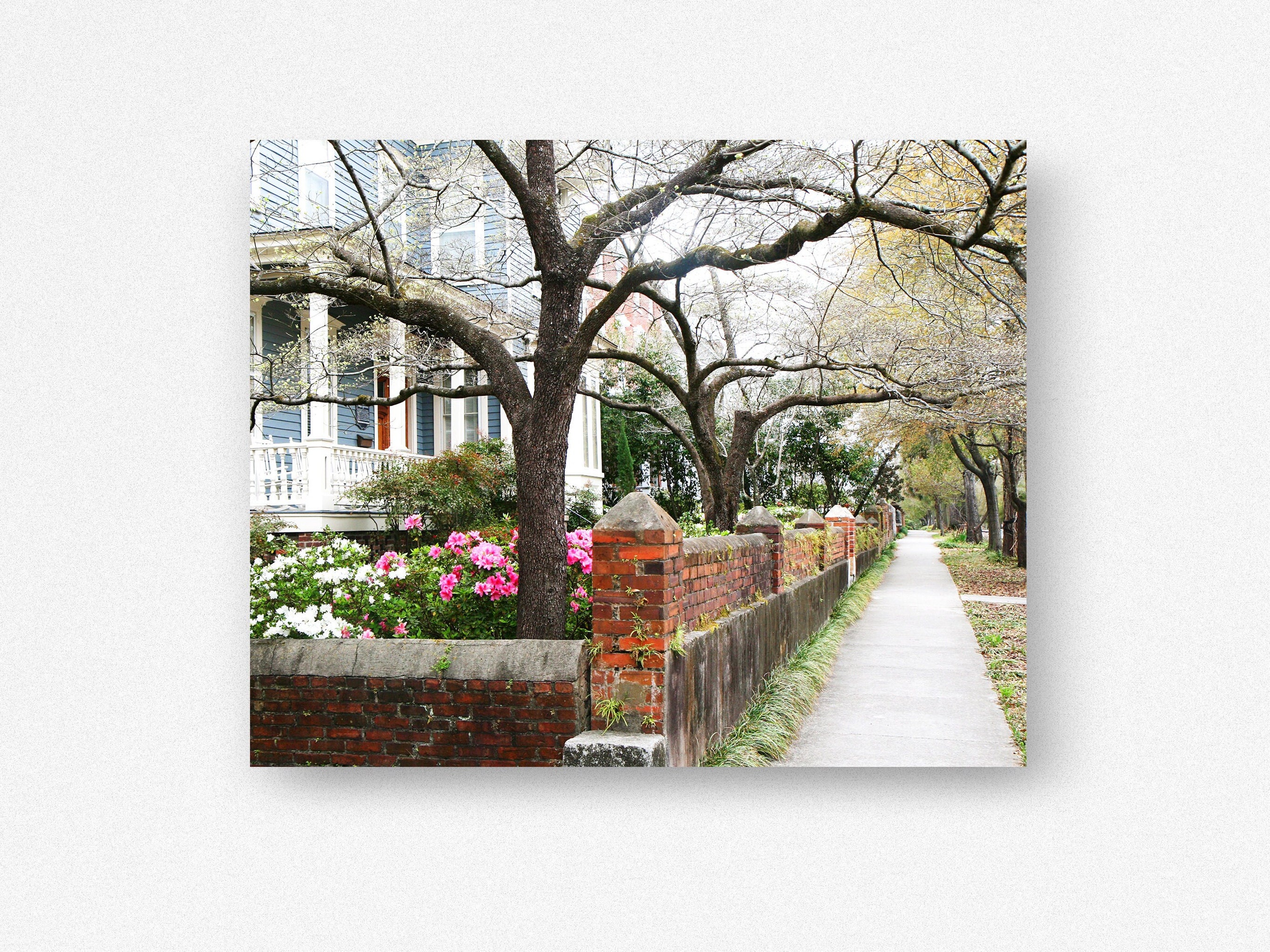 Wilmington NC Print, North Carolina Photography, Historic Homes Photo