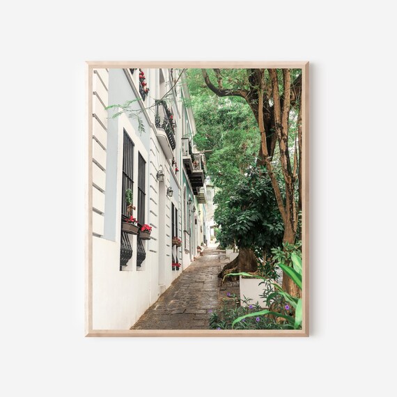 San Juan Garden Alley - Puerto Rico Photography Print, Tropical City Wall Art