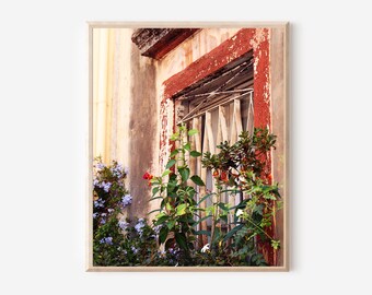 Corfu Greece Photography Print, Window Box Art, Garden Decor, Flower Box Photo, Greek Window, Mediterranean Wall Art, Corfu Greece Picture