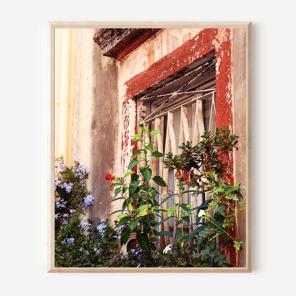 Corfu Greece Photography Print, Window Box Art, Garden Decor, Flower Box Photo, Greek Window, Mediterranean Wall Art, Corfu Greece Picture