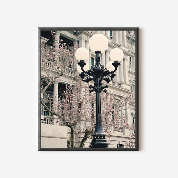 Washington DC Photography Print, Cherry Blossoms & Street Light Lamppost Architecture Print