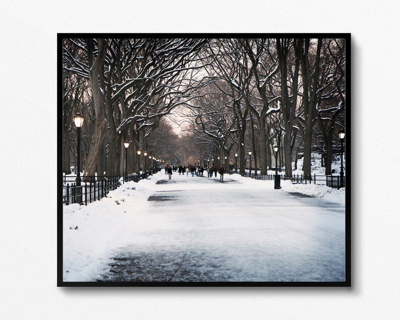 New York City Print, Winter Photography, Central Park Photo, Literary Walk Promenade, Poets Walk Art, Snowy Landscape, Winter in NYC Picture image 1