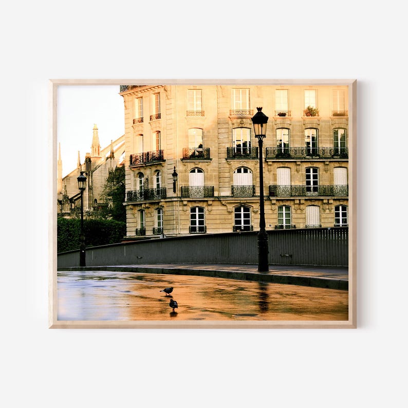 May include: A framed photograph of a Parisian building with cream-colored stone walls, wrought iron balconies, and tall windows. A black street lamp stands on a wet, reflective pavement in the foreground, where two small birds are walking.