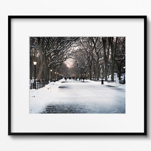 New York City Print, Winter Photography, Central Park Photo, Literary Walk Promenade, Poets Walk Art, Snowy Landscape, Winter in NYC Picture image 4