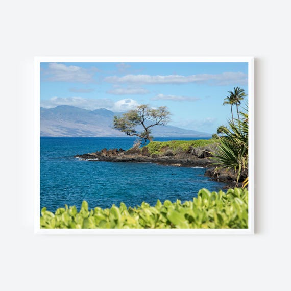 Composure - Maui Hawaii Coastal Photography Print