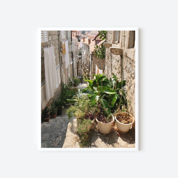 Croatia Photography, Dubrovnik Croatia Print, Laundry Room Wall Art, European Streets Print, Urban Garden Photograph, Printed and Shipped