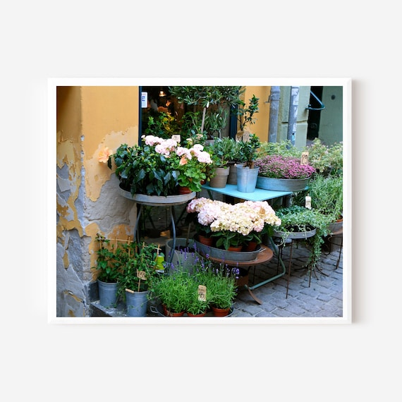 Copenhagen Flower Market Print, Danish Garden Wall Art, Hydrangea Photography, Floral Market Picture, Scandinavian Plant Nursery Decor