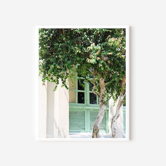 Mint Green Wall Art, Brazil Photography, Tree Photo Print, Window Photograph, Brazilian Decor, White and Mint Art, Available Framed