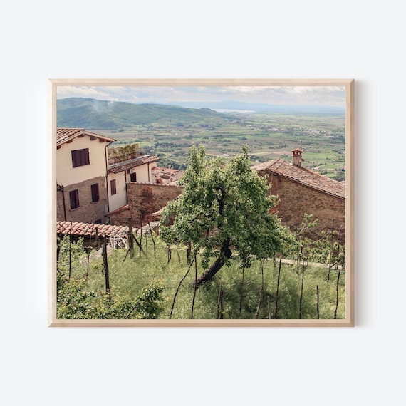 Tree in Tuscany - Tuscany Italy Photography Print