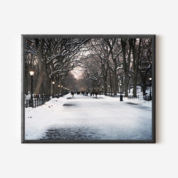 New York City Print, Winter Photography, Central Park Photo, Literary Walk Promenade, Poets Walk Art, Snowy Landscape, Winter in NYC Picture